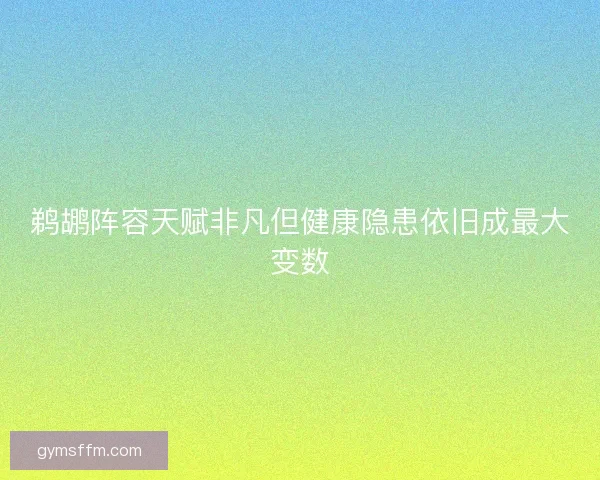 鹈鹕阵容天赋非凡但健康隐患依旧成最大变数 鹈鹕阵容天赋非凡但健康隐患依旧成最大变数